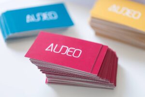 AUDEO-Caroline-Chevallier┬®PANDA-TRIBU-326 8 audeo-formation-caroline-chevallier-communication-orale-lemans-jeux-pedagogiques